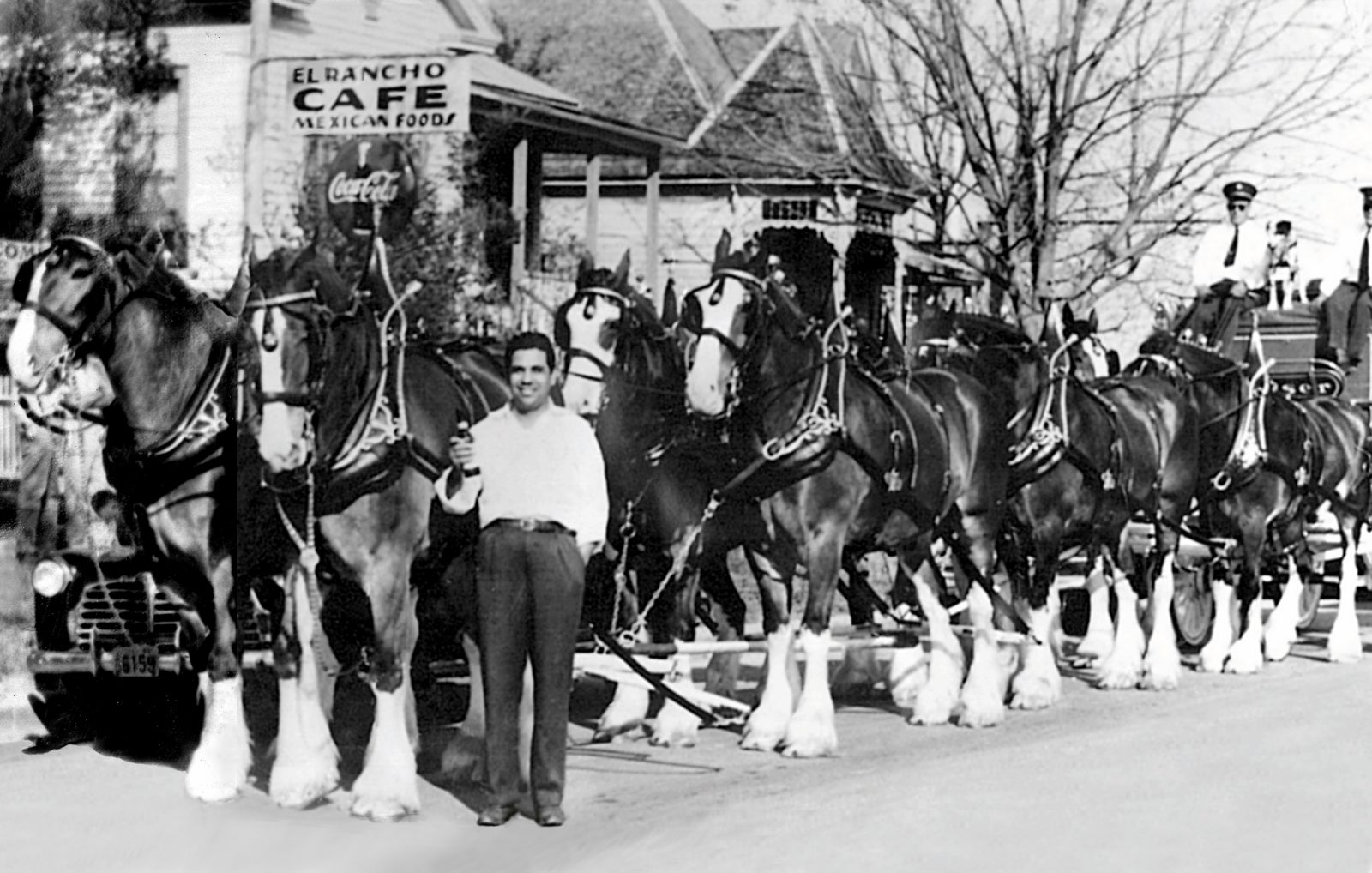 Photo of Matt Martinez with a group of Clydesdales